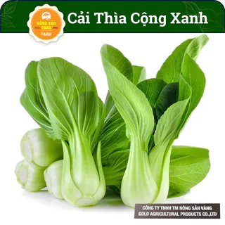 Hạt giống Cải Thìa Cọng Xanh, Dễ Trồng (Gói 10 Gram) - Nông Sản Vàng