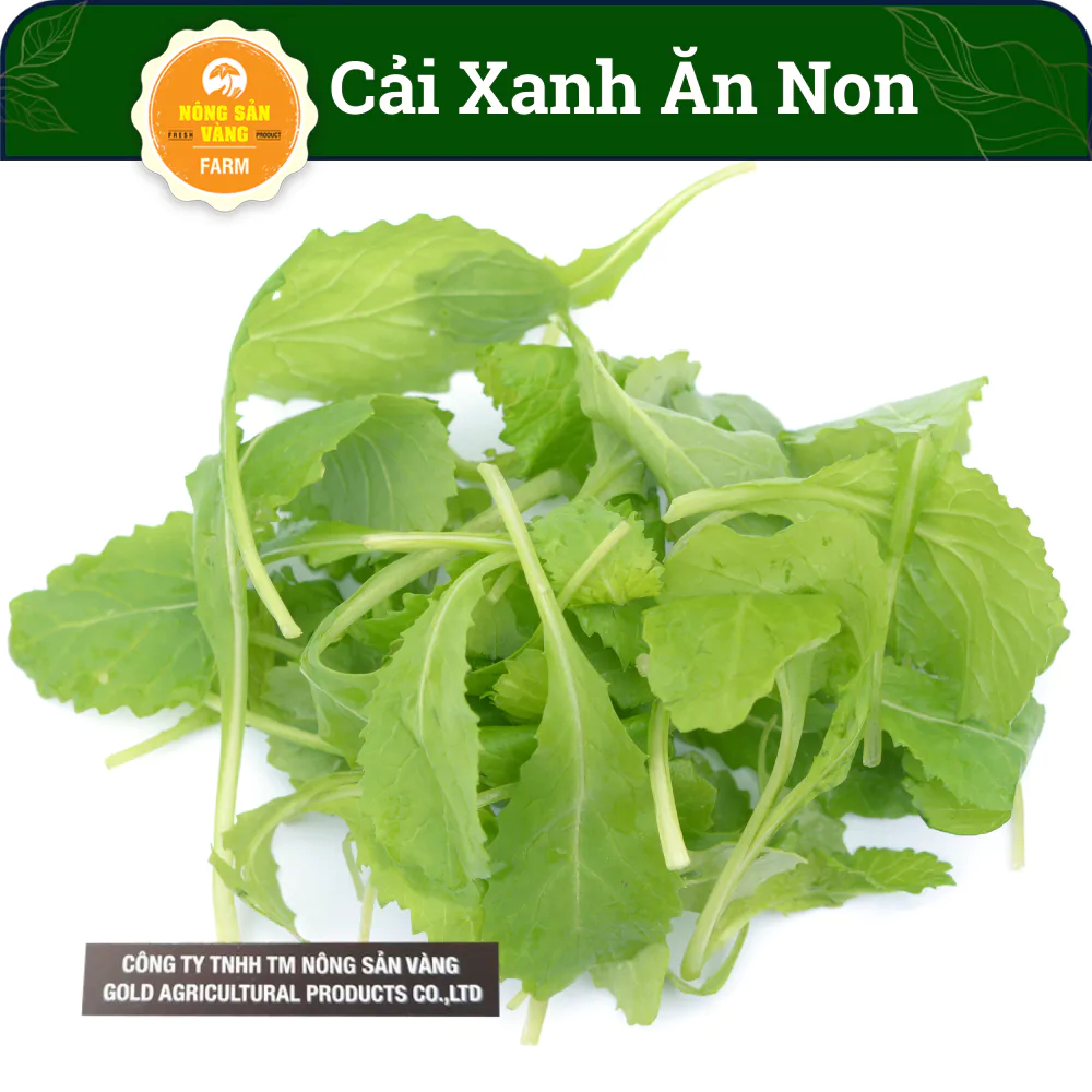 Hạt giống Cải Xanh Ăn Non, Dễ Trồng, Phát Triển Nhanh (gói 20 gram) - Nông Sản Vàng