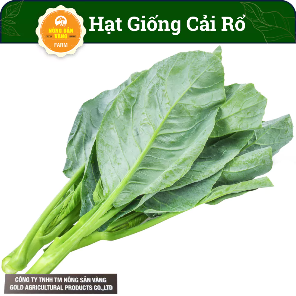 Hạt Giống Cải Làn (Cải Rổ) Rau Ăn Lá, Dễ Ăn, Giàu Dinh Dưỡng, Năng Suất Cao (Gói 5 Gram) - Nông Sản Vàng