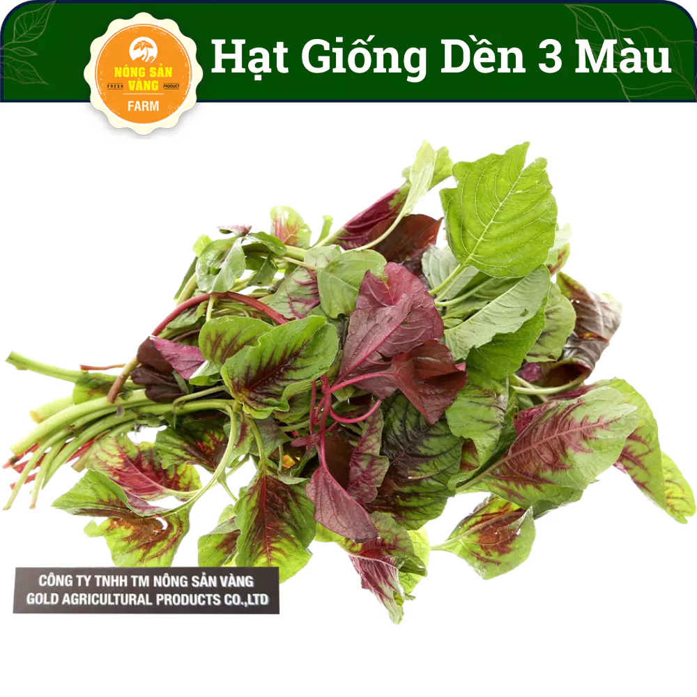 Hạt giống Rau Dền Tía Có Vị Ngọt, Tính Mát, Dinh Dưỡng, Tốt Cho Sức Khỏe, Mùa Vụ Quanh Năm (Gói 20gram) - Nông Sản Vàng