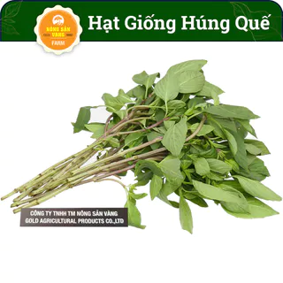 Hạt giống Rau Húng Quế ( Gói 5 Gram ) - Nông Sản Vàng