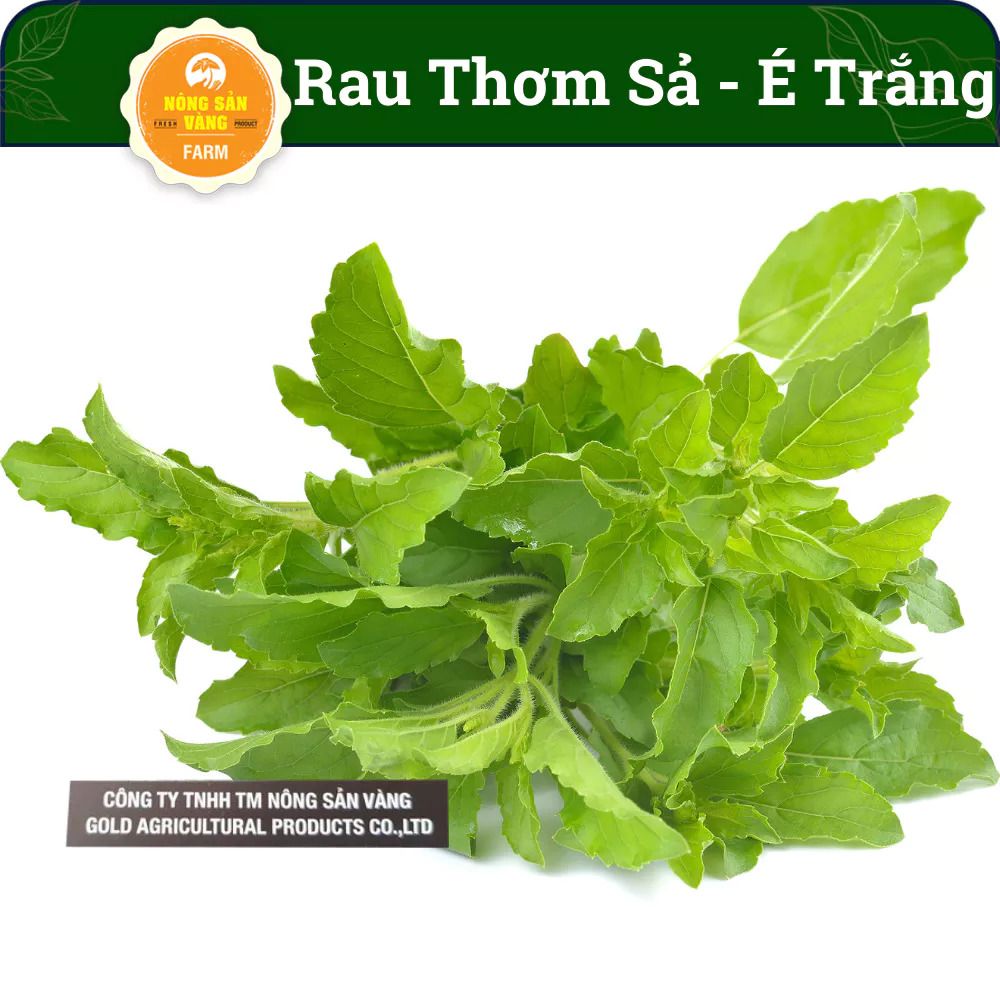 Hạt giống Rau Thơm Sả (É Trắng) Rau Thơm Đặc Biệt Của Miền Trung, Trồng Quanh Năm (gói 5 gram)- Nông Sản Vàng