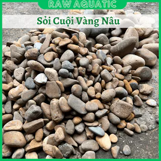 [𝟏𝐤𝐠] Sỏi Cuội Vàng Nâu Trang Trí, Setup Bể Cá Cảnh, Bể Thủy Sinh