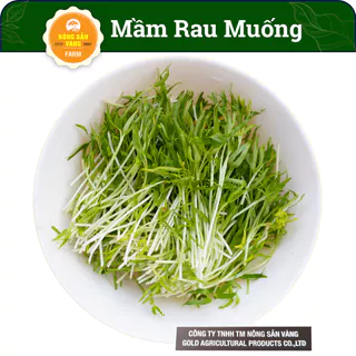 Hạt giống Rau Mầm Rau Muống Tỉ Lệ Nảy Mầm Cao, Sinh Trưởng, Phát Triển Khỏe, Năng Suất Cao (Gói 20 Gram) - Nông Sản Vàng