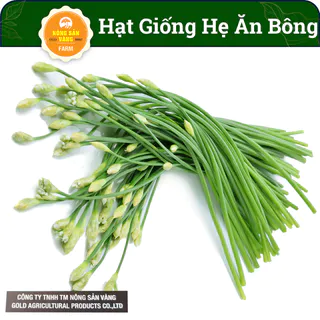 Hẹ Ăn Bông ( Gói 1 Gram), Giống kháng Bệnh Tốt, Cây Sinh Trưởng, Phát Triển Khỏe - Nông Sản Vàng