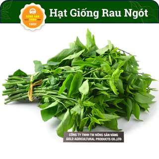 Hạt giống Cây Bồ Ngót( Rau Ngót) Dễ Trồng, Dễ Chăm Sóc, Thanh Nhiệt, Tốt Cho Sức Khỏe (Gói 50 Hạt) - Nông Sản Vàng