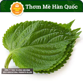 Hạt giống Rau Thơm Mè Hàn Quốc Là Loại Rau Rau Thơm Rất Quen Thuộc (Gói 0,5 Gram) - Nông Sản Vàng