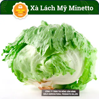 Hạt giống Xà Lách Mỹ Minetto Chịu Nhiệt Và Chịu Ẩm Tốt, Kháng Bệnh Cháy Lá Tốt (Gói 2 Gram) - Nông Sản Vàng