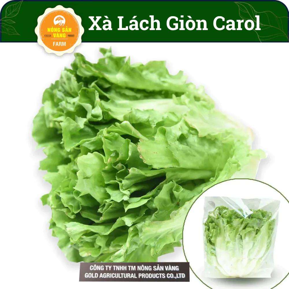 HẠT GIỐNG XÀ LÁCH GIÒN CAROL (gói 1 Gram), Chịu Mưa Kháng Bệnh Tốt, Làm Salad Giòn, Ngọt - Nông Sản Vàng