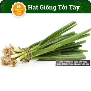 Hạt Giống Tỏi Tây/Baro Năng Suất, Boa Rô Rất Thơm, Dễ Trồng (Gói 0.5 Gram) - Nông Sản Vàng