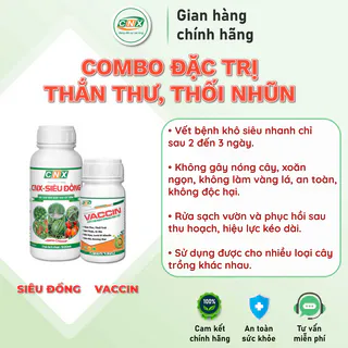 Combo đặc trị thán thư, thối nhũn Vaccin (200ml) - Siêu Đồng (500ml)
