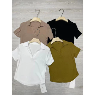 Áo phông thun cotton có cổ siêu đẹp áo thun có cổ nữ vải cotton mềm mại - freesize 45-60kg - tặng kèm dây buộc tóc