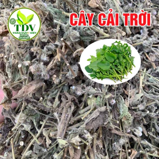 1kg Cây Cải Trời Khô, Sạch  Tốt Cho Người Bướu Cổ