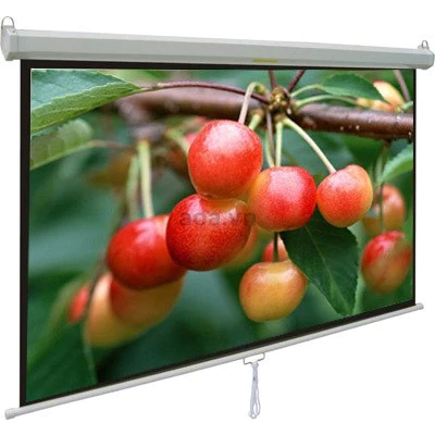 Màn chiếu treo tường Apollo chính hãng kích thước 85 inch tới 170 inch (85" - 170")