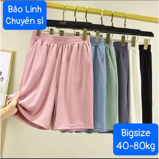 Quần Short Nữ Bigsize Bảo Linh Chất Gân Tăm Thái Dáng Đùi Trên Gối