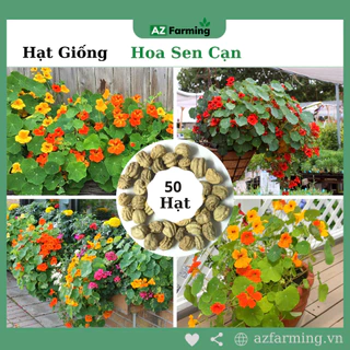 Hạt Giống Hoa Sen Cạn - Gói 50 Hạt - AZ Farming