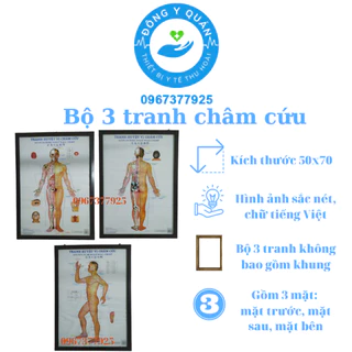 Bộ tranh châm cứu 3 tờ kích thước mỗi tranh 50cm x 70cm- Sinh động- trực quan- In bởi nhà xuất bản Y Học