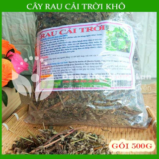 Thảo dược CÂY RAU CẢI TRỜI khô sạch đóng gói 500gram congtyduoclieuhonglan