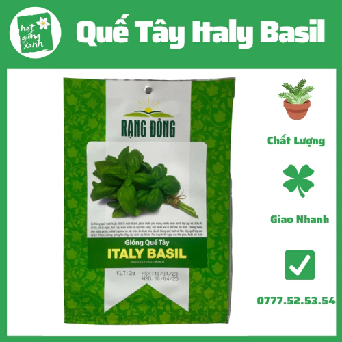 Hạt giống húng quế Basi Itali (2g), rau gia vị phù hợp với các món Âu