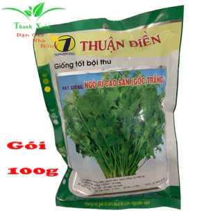 Hạt Giống Ngò Rí Cao Sản (gốc trắng ) gói 100g