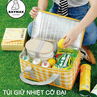 úi giữ nhiệt đa năng giao hàng hóa- ngang 38cm x rộng 25cm x cao 25cm