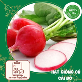 Hạt giống củ cải đỏ cherry F1 5g