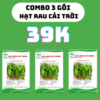 Combo 3 gói hạt giống rau cải trời, cải hoang - gói 100 hạt - KN