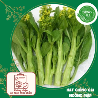 Hạt giống Cải ngồng mập 20g