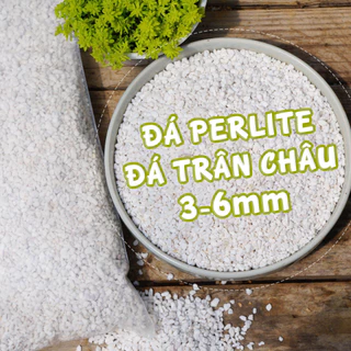 [200g] Đá Perlite dùng trộn giá thể trồng sen đá, xương rồng,  giữ ẩm và chất dinh dưỡng, thoáng đất trồng cực tốt