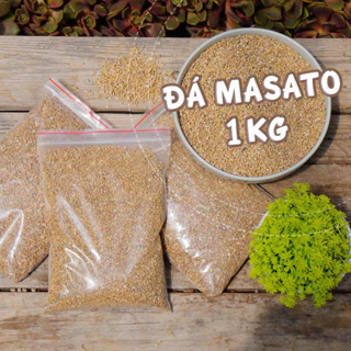 [1Kg] Đá Masato size 1-3mm  GLASS GARDEN, rải mặt chậu sen đá, xương rồng - thoáng khí, cách nhiệt tốt cho cây