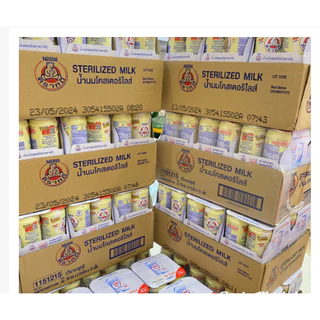 Nguyên thùng 48 lon sữa gấu Nestle Thái Lan dạng lon mẫu mới 150ml cho bé từ 1 tuổi date mới