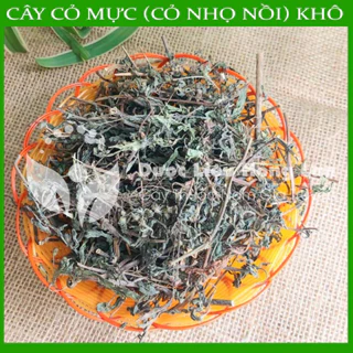 Combo 2kg CÂY CỎ MỰC (NHỌ NỒI) khô - congtyduoclieuhonglan