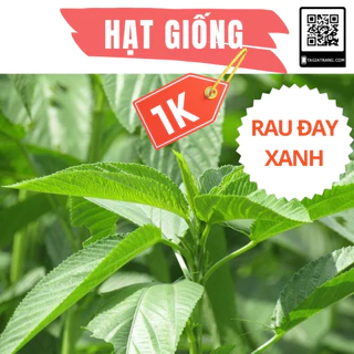 Deal 1K - 100 Hạt giống rau đay xanh - Tập làm vườn cùng Tạ Gia Trang