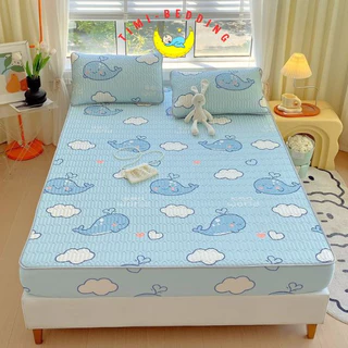 Chiếu cao su non điều hòa 3D bọc chun trẻ trung, dày dặn, thoáng mát và không thấm mồ hôi – Timibedding