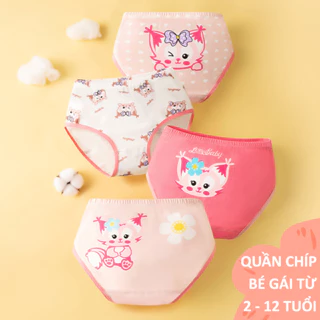 Quần Chíp Bé Gái Set 4 Chiếc 95% Cotton Siêu Mềm Kháng Khuẩn Xuất Hàn Quốc Dành Cho Bé từ 3-13 Tuổi PK150