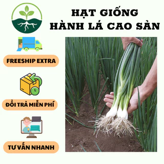 Hạt giống hành lá cao sản gốc trắng - 1 gói 5gram