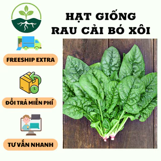 Hạt Giống Rau Cải Bó Xôi Chịu Nhiệt - 1 gói 20gram