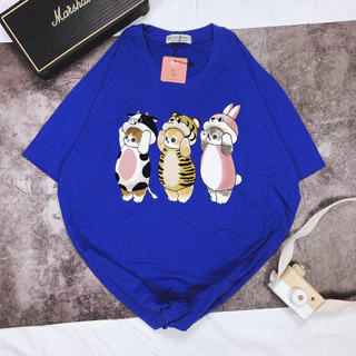 Áo Phông 3 CON MÈO CHIBI ĐỨNG Áo Thun Local Brand Unisex Nam Nữ Form Rộng Tay Lỡ Cotton Vải Mát shop.lucas