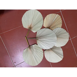 combo 10 lá cọ tròn  quạt cầm tay cho mùa hè decor trang trí 30x30cm  tay câm 15cm  👉🏻 sản phẩm thiên nhiên từ lá cọ