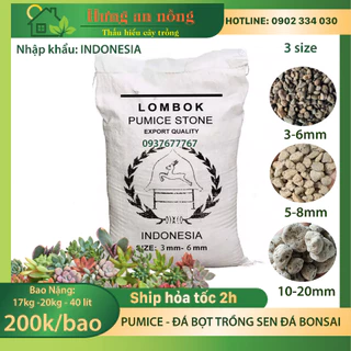 SHIP HỎA TỐC TPHCM Bao 40 lít đá pumice đá bọt nhập khẩu Indonesia, trồng sen đá xương rồng bonsai