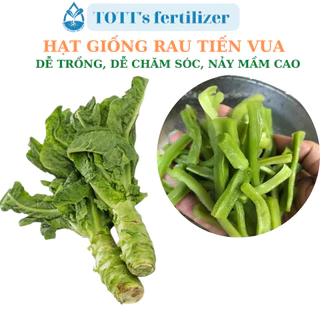 Hạt giống rau tiến vua dễ trồng, dễ chăm sóc TOTT's fertilizer