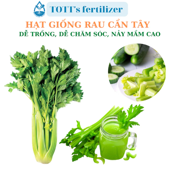 Hạt giống rau cần tây dễ trồng TOTT's fertilizer