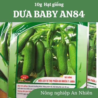 10g Hạt giống DƯA CHUỘT BABY DƯA CHUỘT CHÙM siêu trái F1 tự thụ phấn, năng suất cao