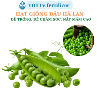 Hạt giống đậu hà lan dễ trồng, dễ nảy mầm TOTT's fertilizer