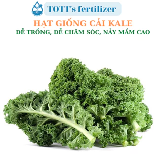 Hạt Giống cải xoăn Kale dễ trồng TOTT's fertilizer