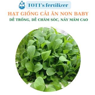 Hạt giống cải ăn non baby dễ trồng TOTT's fertilizer