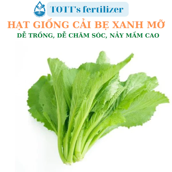 Hạt giống Bẹ xanh mỡ dễ trồng TOTT's fertilizer