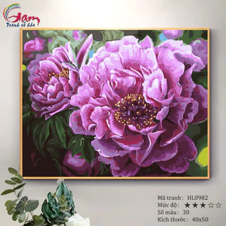 Tranh tô màu theo số hoa mẫu đơn HL0982 đã căng khung 40x50cm