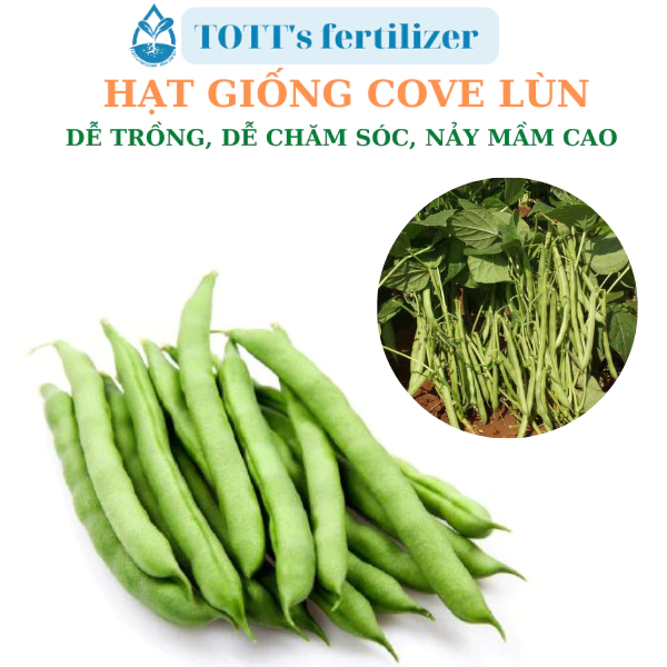 Hạt Giống đậu Cove lùn dễ trồng TOTT's fertilizer