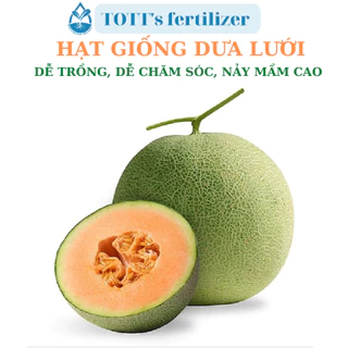 Hạt Giống dưa lưới F1 dễ trồng TOTT's fertilizer